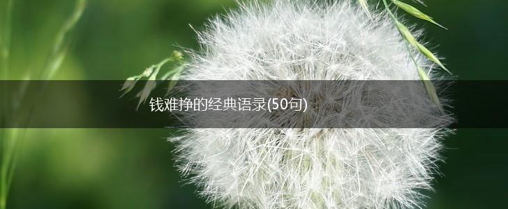 钱难挣的经典语录(50句),第1张