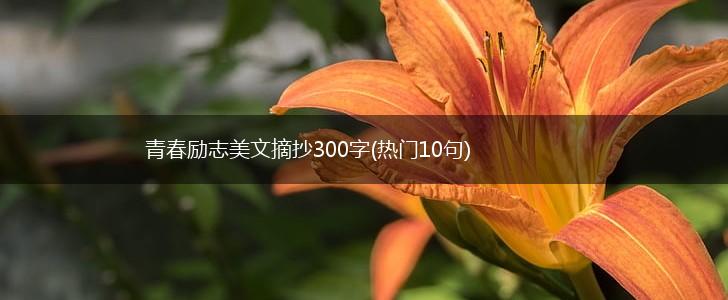 青春励志美文摘抄300字(热门10句),第1张