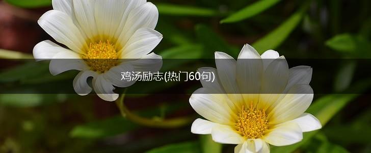 鸡汤励志(热门60句),第1张