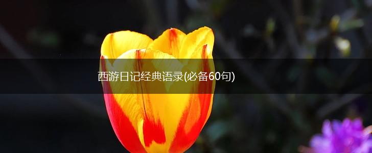 西游日记经典语录(必备60句),第1张