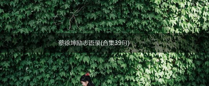 蔡徐坤励志语录(合集39句),第1张