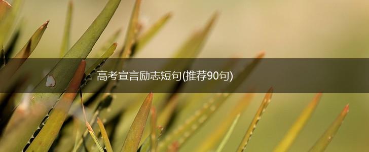 高考宣言励志短句(推荐90句),第1张