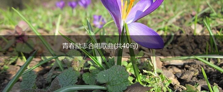 青春励志合唱歌曲(共40句),第1张