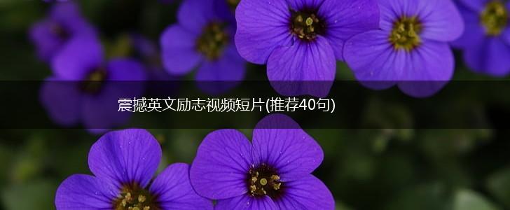 震撼英文励志视频短片(推荐40句),第1张