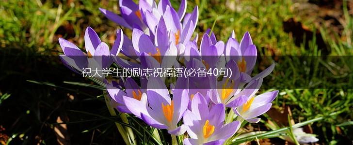 祝大学生的励志祝福语(必备40句),第1张