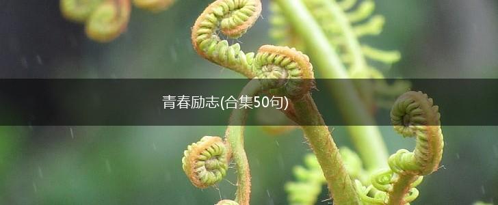 青春励志(合集50句),第1张
