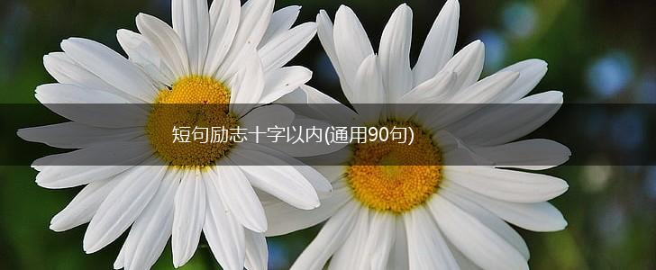 短句励志十字以内(通用90句),第1张