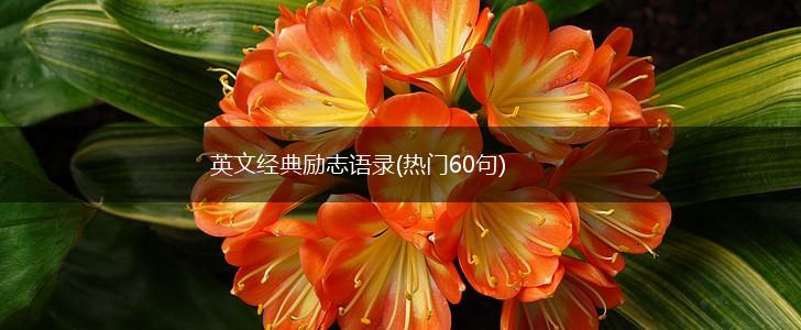 英文经典励志语录(热门60句),第1张