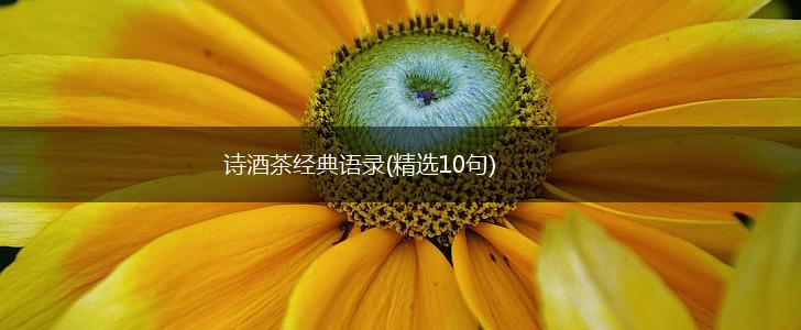 诗酒茶经典语录(精选10句),第1张