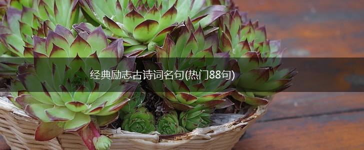 经典励志古诗词名句(热门88句),第1张 经典励志古诗词名句(热门88句),第1张