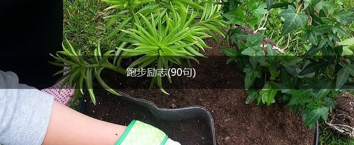 跑步励志(90句),第1张