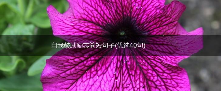 自我鼓励励志简短句子(优选40句),第1张