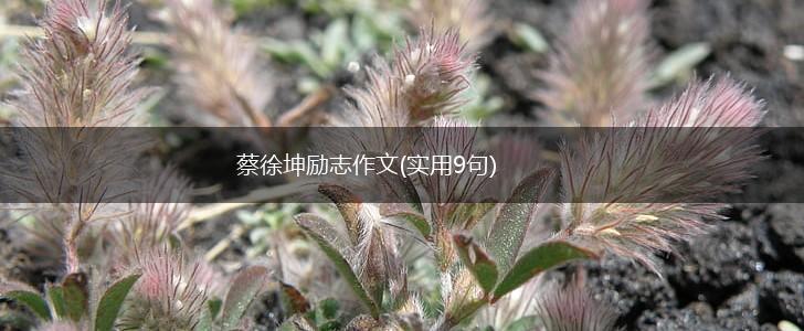 蔡徐坤励志作文(实用9句),第1张