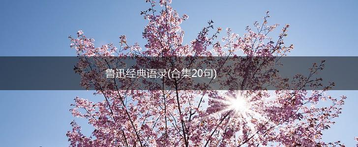 鲁迅经典语录(合集20句),第1张