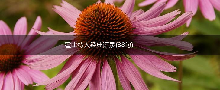 霍比特人经典语录(38句),第1张