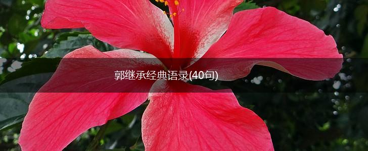 郭继承经典语录(40句),第1张