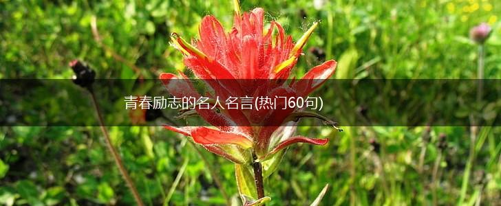 青春励志的名人名言(热门60句),第1张