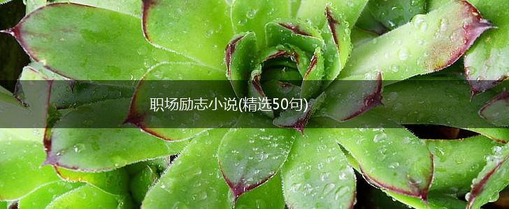 职场励志小说(精选50句),第1张 职场励志小说(精选50句),第1张