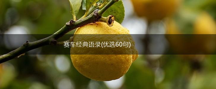 赛车经典语录(优选60句),第1张