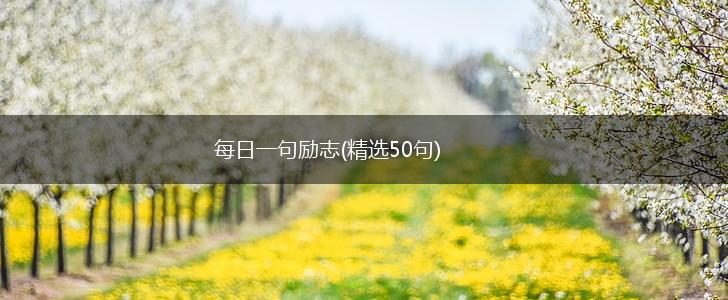 每日一句励志(精选50句),第1张