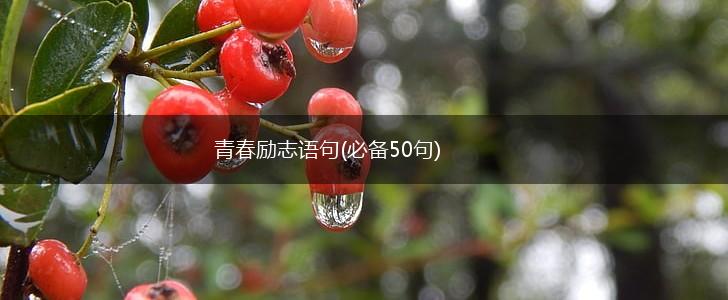 青春励志语句(必备50句),第1张