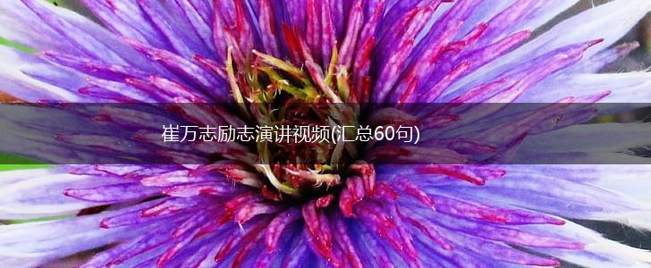 崔万志励志演讲视频(汇总60句),第1张