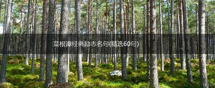 菜根谭经典励志名句(精选60句),第1张