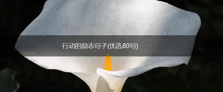 行动的励志句子(优选80句),第1张