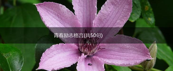 青春励志格言(共50句),第1张