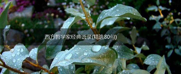 西方哲学家经典语录(精选80句),第1张 西方哲学家经典语录(精选80句),第1张