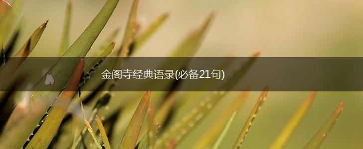 金阁寺经典语录(必备21句),第1张