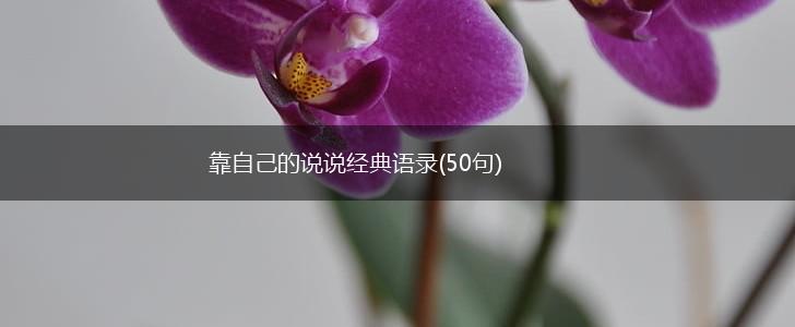 靠自己的说说经典语录(50句),第1张