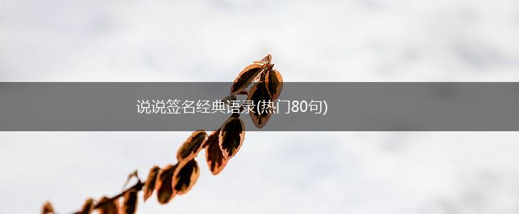 说说签名经典语录(热门80句),第1张