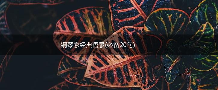 钢琴家经典语录(必备20句),第1张