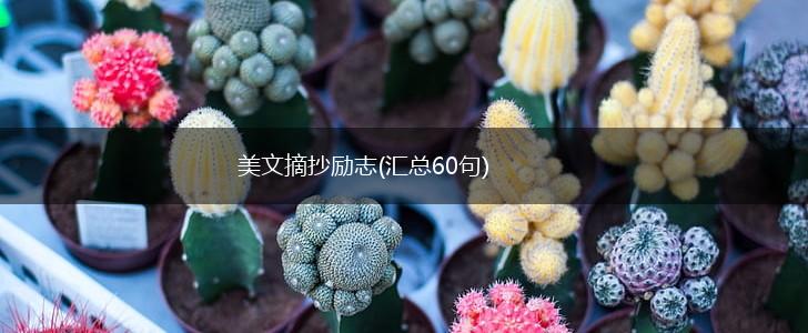 美文摘抄励志(汇总60句),第1张 美文摘抄励志(汇总60句),第1张