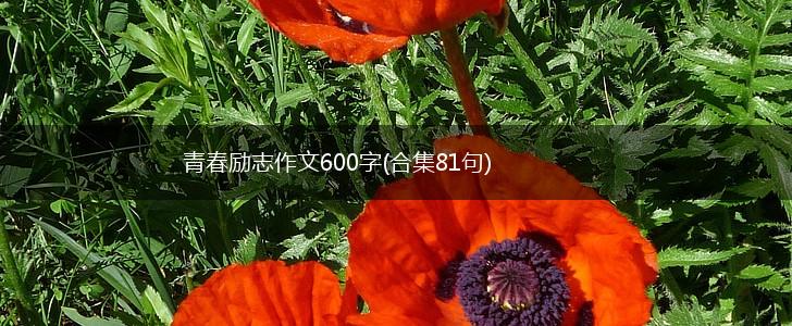 青春励志作文600字(合集81句),第1张