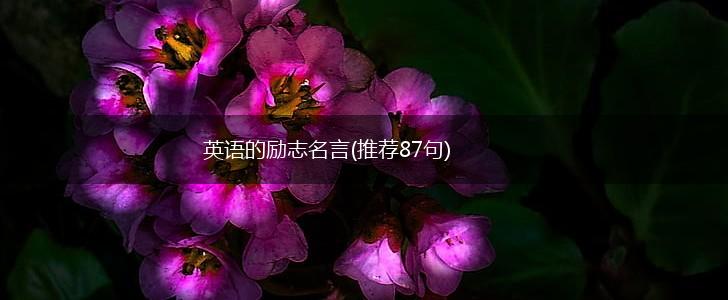 英语的励志名言(推荐87句),第1张