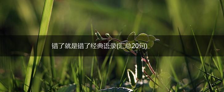 错了就是错了经典语录(汇总20句),第1张