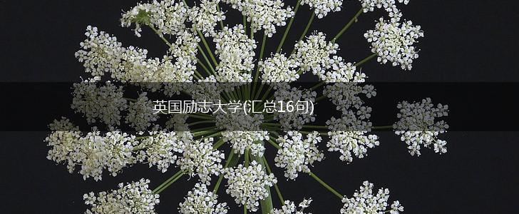 英国励志大学(汇总16句),第1张