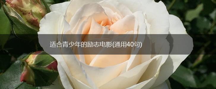 适合青少年的励志电影(通用40句),第1张