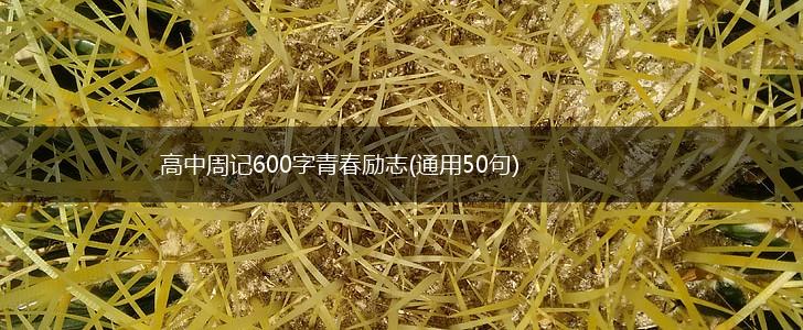 高中周记600字青春励志(通用50句),第1张
