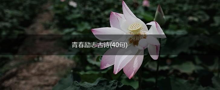 青春励志古诗(40句),第1张