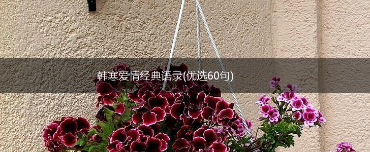 韩寒爱情经典语录(优选60句),第1张