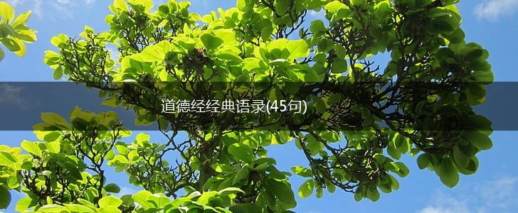 道德经经典语录(45句),第1张