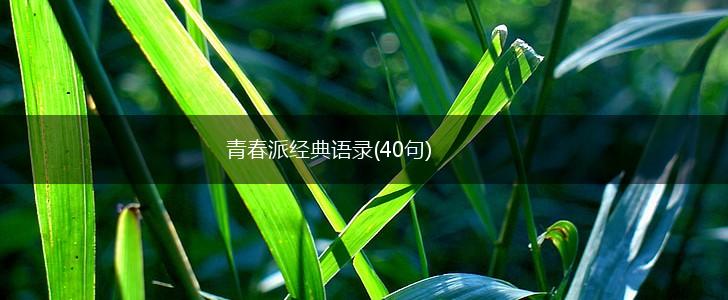 青春派经典语录(40句),第1张