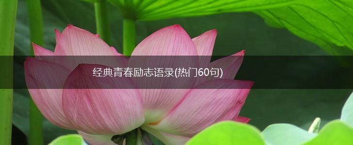 经典青春励志语录(热门60句),第1张