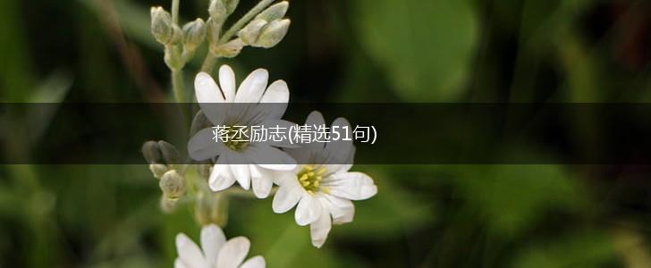蒋丞励志(精选51句),第1张