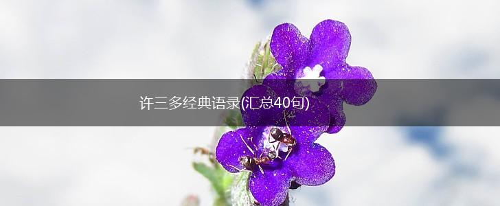 许三多经典语录(汇总40句),第1张