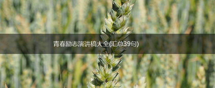 青春励志演讲稿大全(汇总39句),第1张