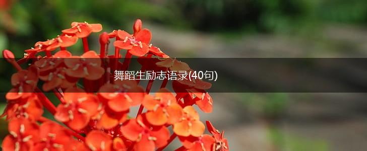 舞蹈生励志语录(40句),第1张 舞蹈生励志语录(40句),第1张